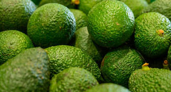 Avokado Hass 1 kg