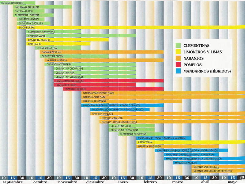 Sesongkalender