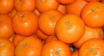 Mandarine Klementine 12 kg