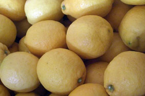 Kupite limone - Valencia lemons online