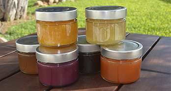 Kupite marmelado na spletu - Valencia artisan marmalades online