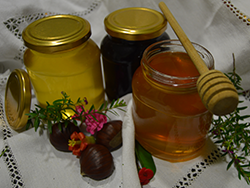Kupite med na spletu - Valencia natural honey online