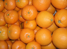 Kupite zaboj raznovrstnega sadja - Valencia oranges and mandarins online