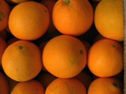 Kupite pomaranče na spletu - Valencia oranges online