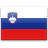 Idioma SL