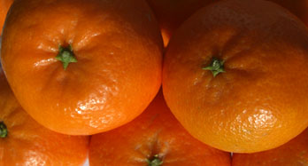 Mandarine Hernandina 12 kg