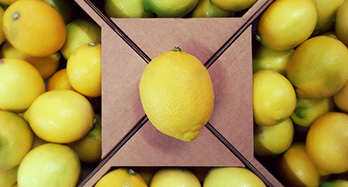 Limone 10 kg - Cena 37 €