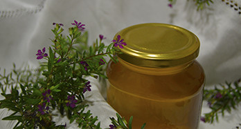 Med iz timijana 1 kg - Cena 16 €