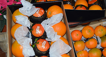 45 pomaranč in 28 mandarin vrhunsko - Cena 60 €
