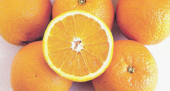 Pomaranče Valencia 15 kg - Cena 44 €
